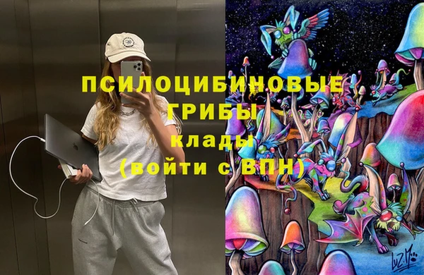 ECSTASY Аркадак